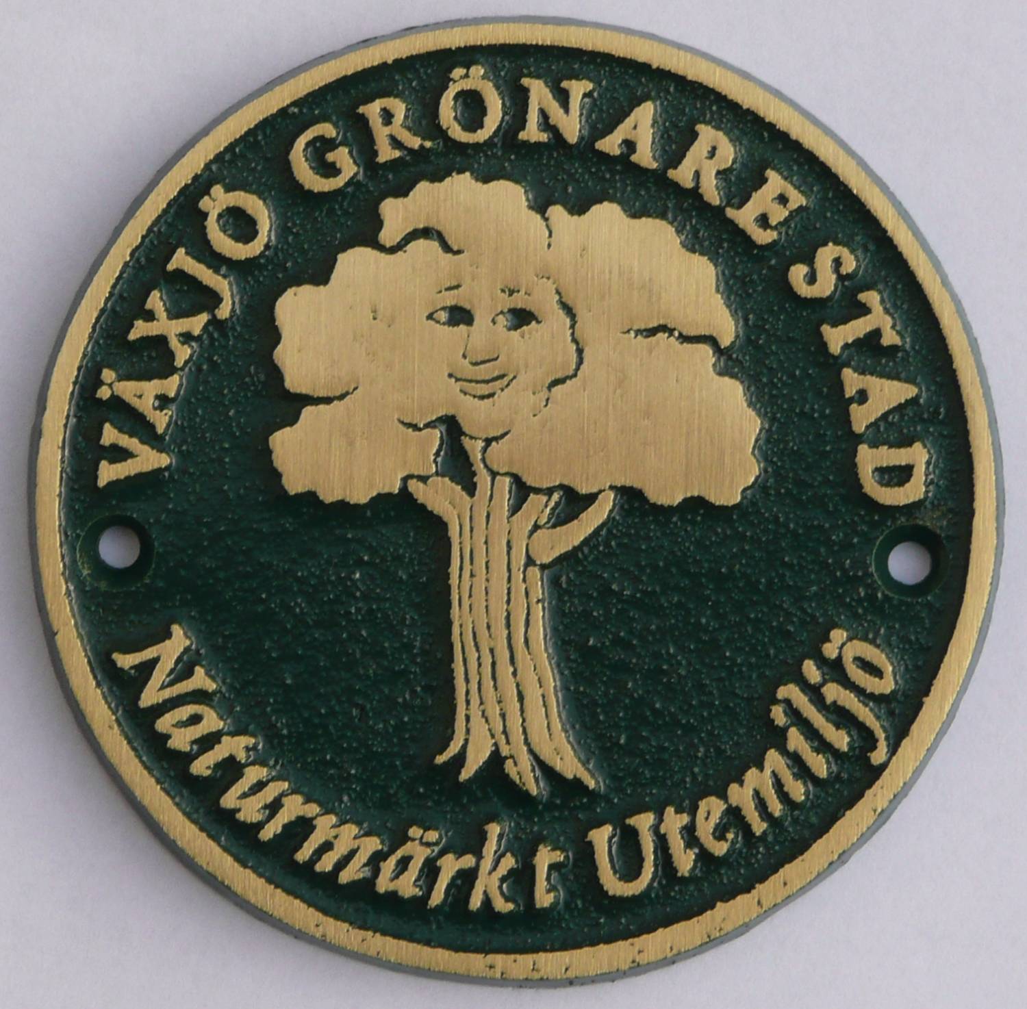Bild av medalj fr&aring;n V&auml;xj&ouml; gr&ouml;nare stad